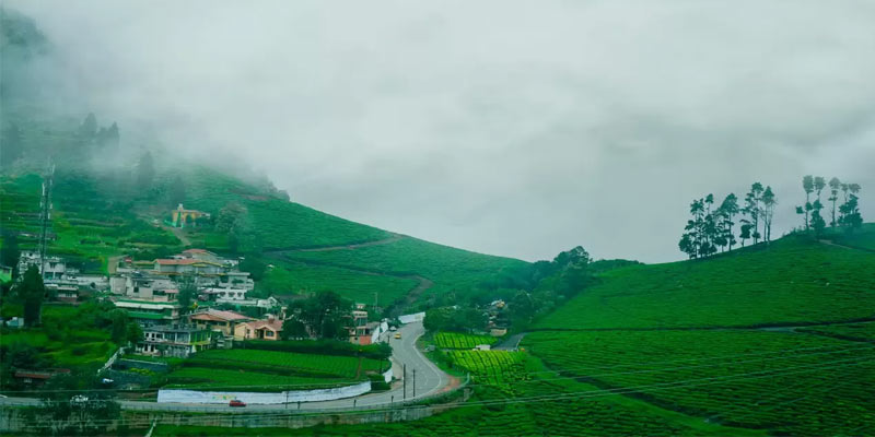 ooty